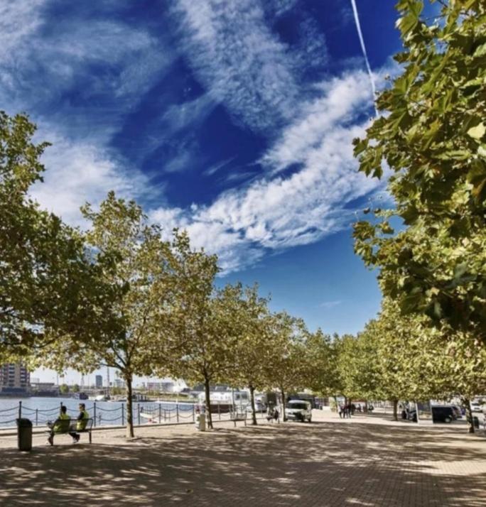 דירות לונדון Lovely Waterfront Flat Canary Wharf Excel Centre מראה חיצוני תמונה